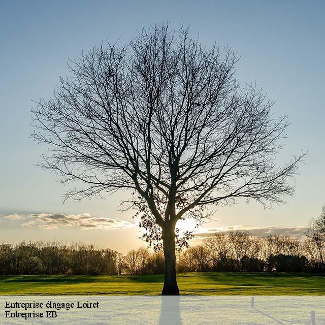 entreprise-elagage
