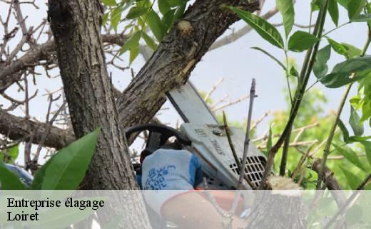 entreprise-elagage
