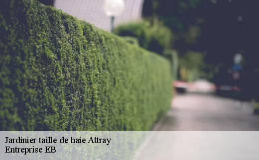 jardinier-taille-de-haie