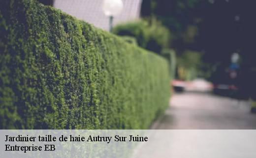 jardinier-taille-de-haie