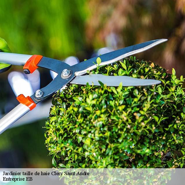jardinier-taille-de-haie