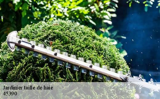 jardinier-taille-de-haie