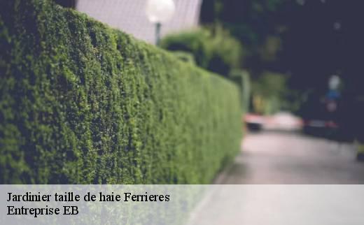 jardinier-taille-de-haie