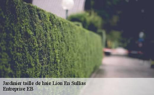 jardinier-taille-de-haie