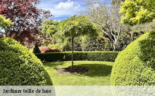 jardinier-taille-de-haie