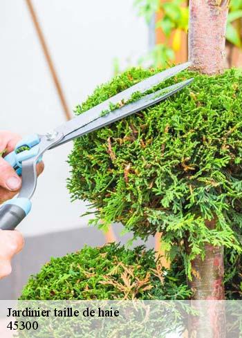 jardinier-taille-de-haie