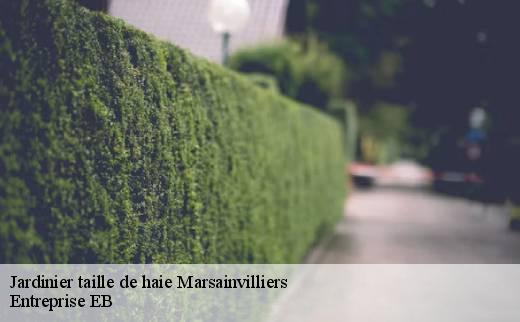 jardinier-taille-de-haie