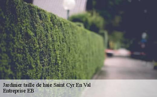 jardinier-taille-de-haie