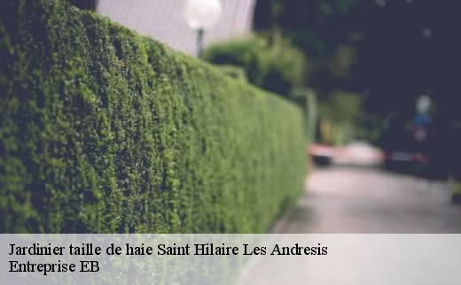 jardinier-taille-de-haie