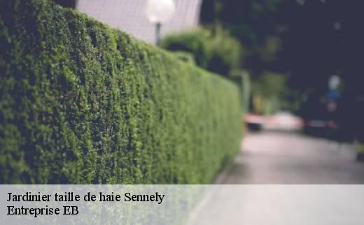 jardinier-taille-de-haie