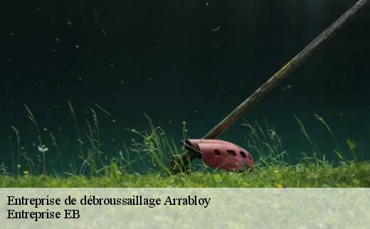 entreprise-de-debroussaillage