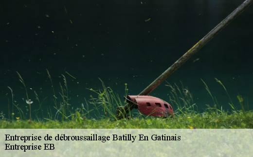 entreprise-de-debroussaillage