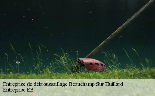 entreprise-de-debroussaillage