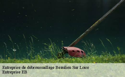 entreprise-de-debroussaillage