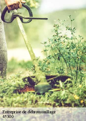 entreprise-de-debroussaillage