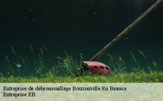 entreprise-de-debroussaillage