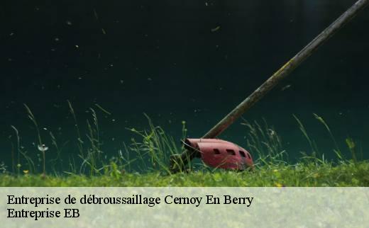 entreprise-de-debroussaillage
