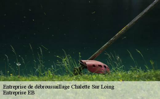 entreprise-de-debroussaillage