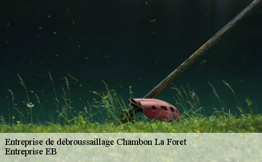 entreprise-de-debroussaillage