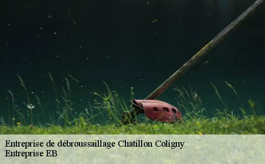 entreprise-de-debroussaillage