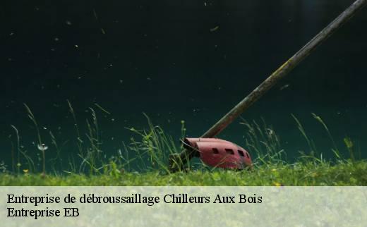 entreprise-de-debroussaillage