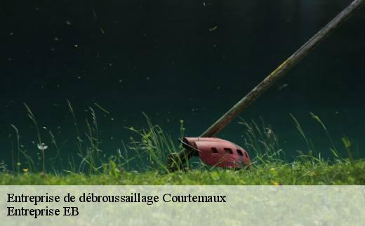 entreprise-de-debroussaillage
