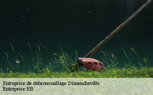 entreprise-de-debroussaillage