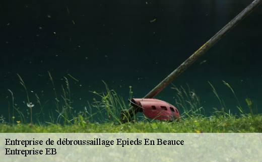 entreprise-de-debroussaillage