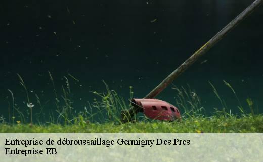 entreprise-de-debroussaillage