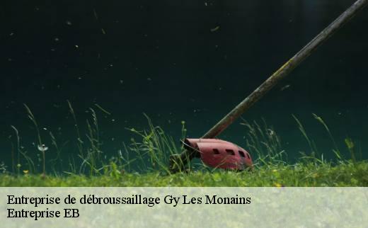 entreprise-de-debroussaillage