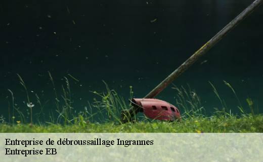 entreprise-de-debroussaillage