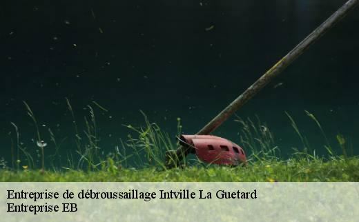 entreprise-de-debroussaillage