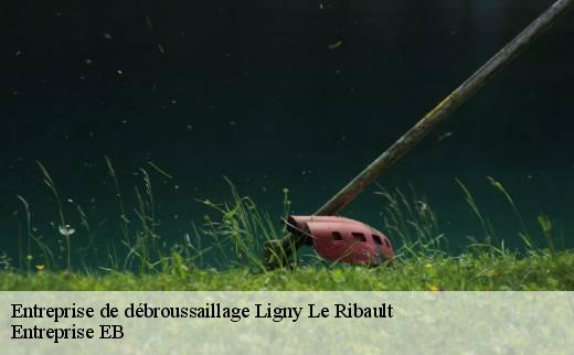 entreprise-de-debroussaillage