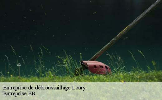 entreprise-de-debroussaillage