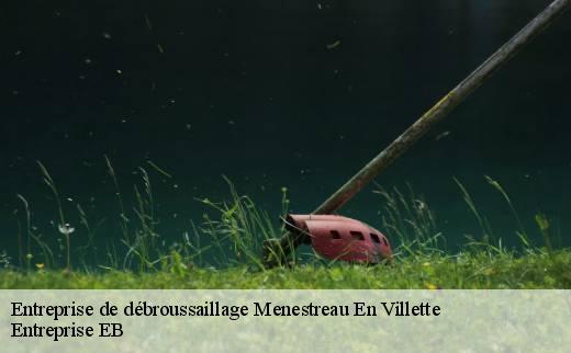 entreprise-de-debroussaillage