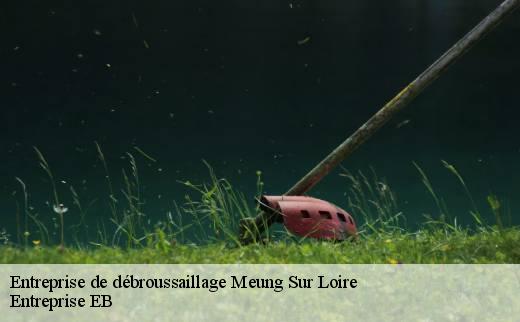 entreprise-de-debroussaillage