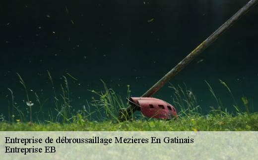 entreprise-de-debroussaillage