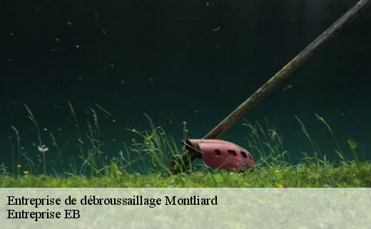 entreprise-de-debroussaillage