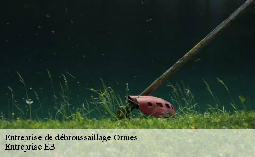 entreprise-de-debroussaillage