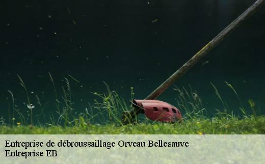 entreprise-de-debroussaillage