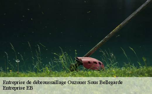entreprise-de-debroussaillage