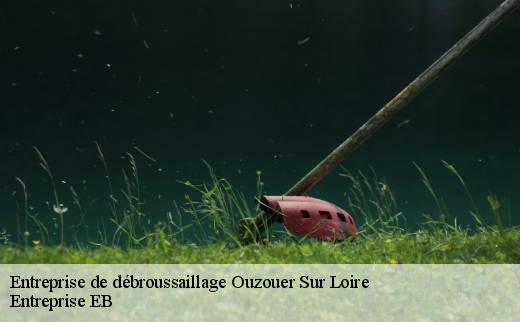 entreprise-de-debroussaillage