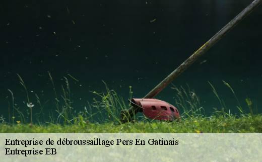 entreprise-de-debroussaillage