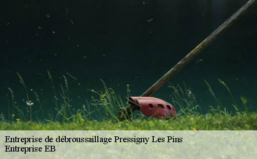 entreprise-de-debroussaillage