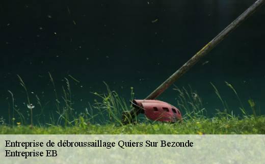 entreprise-de-debroussaillage