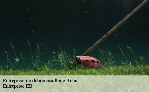 entreprise-de-debroussaillage