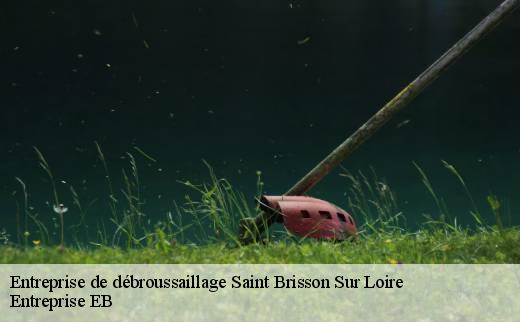 entreprise-de-debroussaillage