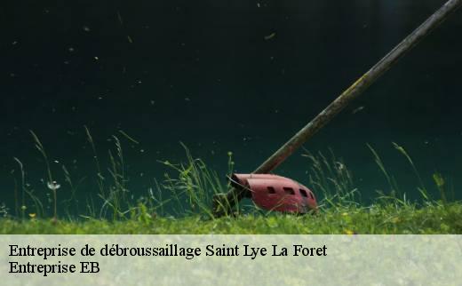 entreprise-de-debroussaillage