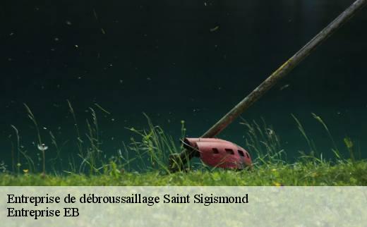 entreprise-de-debroussaillage
