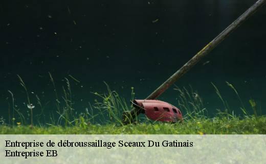 entreprise-de-debroussaillage